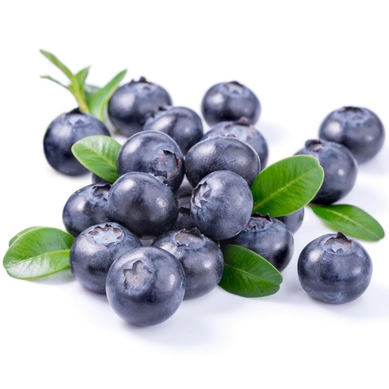 povestea blue black berry 05
